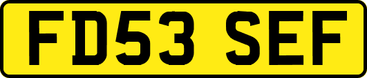 FD53SEF