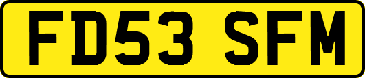 FD53SFM