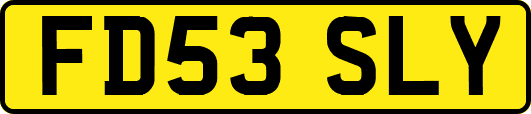 FD53SLY