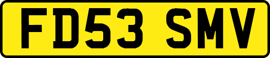 FD53SMV