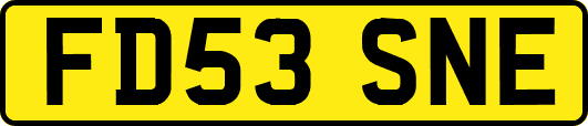 FD53SNE