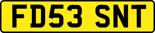 FD53SNT