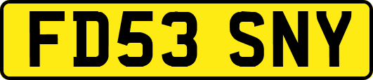 FD53SNY