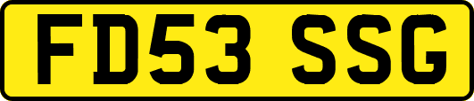 FD53SSG