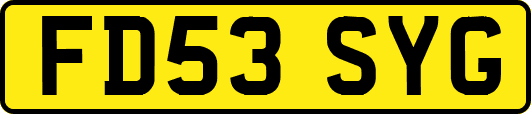 FD53SYG