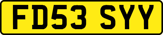 FD53SYY