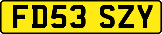 FD53SZY
