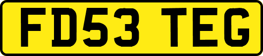 FD53TEG