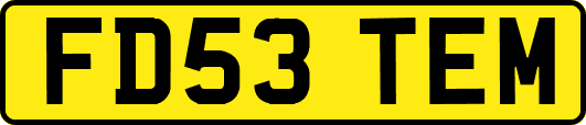 FD53TEM