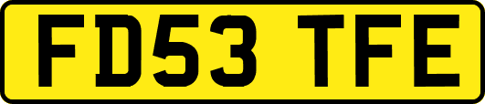 FD53TFE