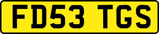 FD53TGS