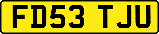 FD53TJU