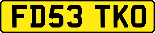 FD53TKO