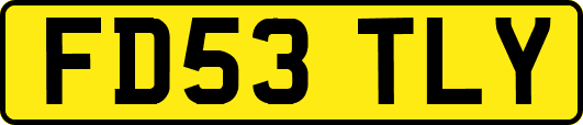 FD53TLY