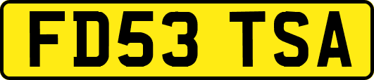 FD53TSA