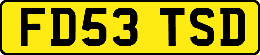 FD53TSD