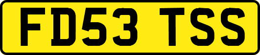 FD53TSS