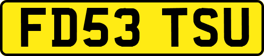 FD53TSU