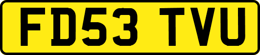 FD53TVU