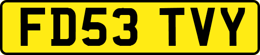 FD53TVY