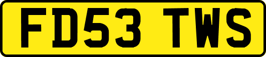 FD53TWS