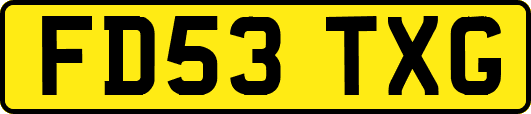 FD53TXG