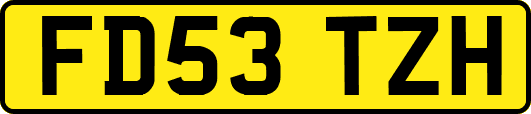 FD53TZH