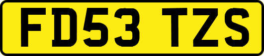 FD53TZS