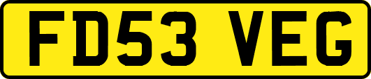 FD53VEG
