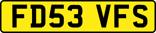 FD53VFS