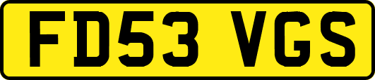 FD53VGS