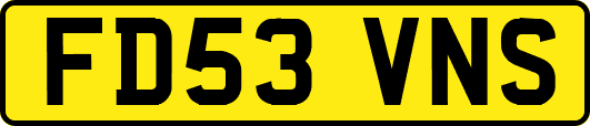 FD53VNS