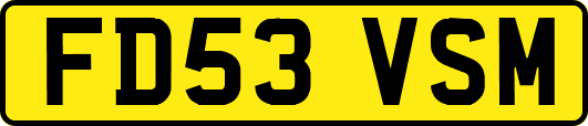 FD53VSM