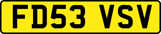 FD53VSV