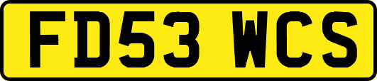 FD53WCS