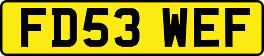 FD53WEF