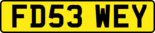 FD53WEY