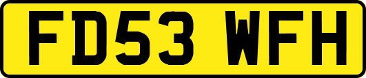 FD53WFH