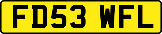 FD53WFL