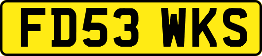 FD53WKS