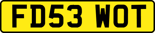 FD53WOT