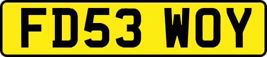 FD53WOY