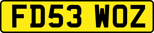 FD53WOZ