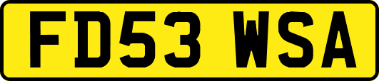 FD53WSA