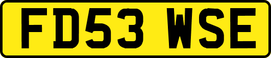 FD53WSE