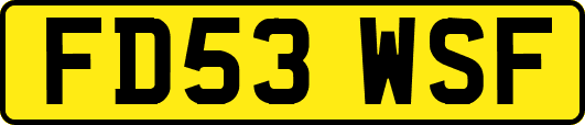 FD53WSF