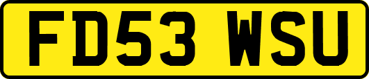 FD53WSU