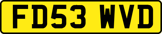 FD53WVD