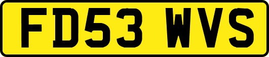 FD53WVS