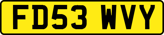 FD53WVY